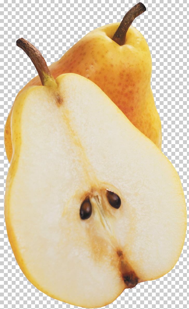 Pear Fruit PNG, Clipart, Apricot, Asian Pear, Bitmap, Bmp File Format, Computer Icons Free PNG Download