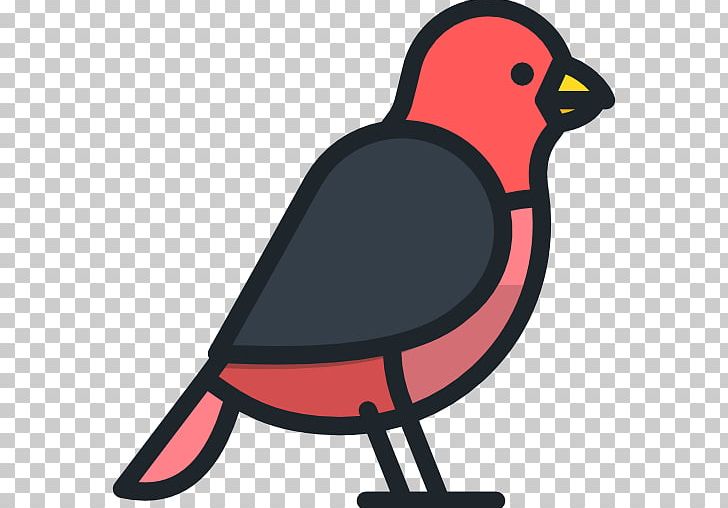Beak PNG, Clipart, Animals, Animals Vocabulary, Artwork, Beak, Bird Free PNG Download