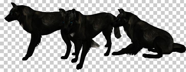 Dog Black Wolf Fur Arctic Wolf PNG, Clipart, Animal Figure, Arctic Wolf, Black, Black And White, Blackwolf Free PNG Download