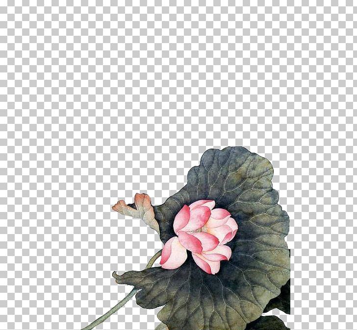 Water Lilies Watercolor Painting Art Gongbi PNG, Clipart, Art Ukraine, Drawing, Flower, Flowering Plant, Flowers Free PNG Download
