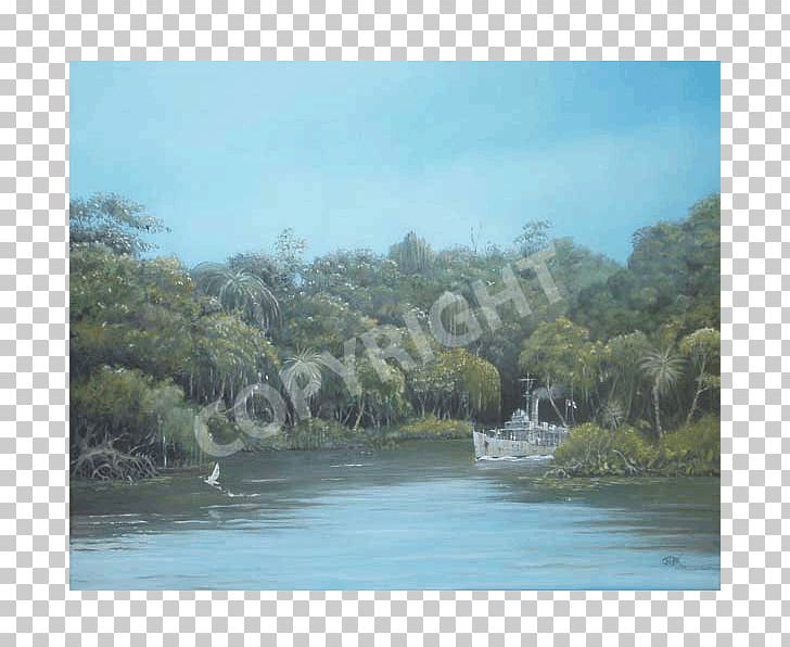 Water Resources Nature Reserve Loch Plant Community Vegetation PNG, Clipart, Bank, Bay, Bayou, Coast, Community Free PNG Download