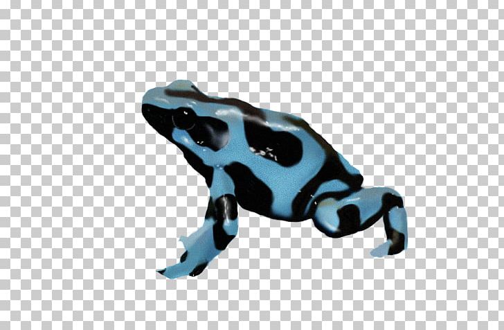 Toad True Frog Poison Dart Frog Tree Frog PNG, Clipart, Amphibian, Animal Figure, Arrow, Arrow Poison, Blue Poison Dart Frog Free PNG Download