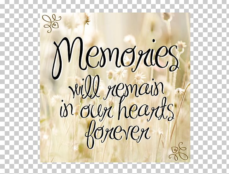 Condolences Condolence Book Sympathy Funeral Death PNG, Clipart, Calligraphy, Condolence Book, Condolences, Death, Funeral Free PNG Download