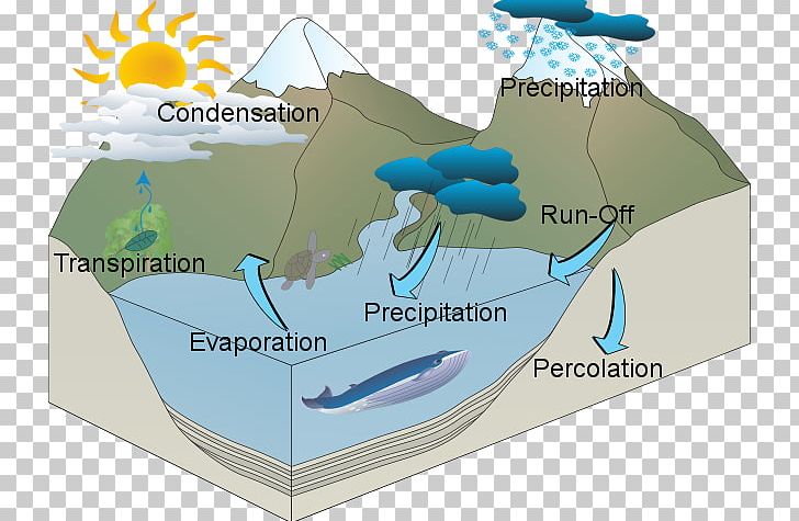 Water Resources Water Cycle PNG, Clipart, Diagram, Drawing, Editing, Hydrology, Map Free PNG Download