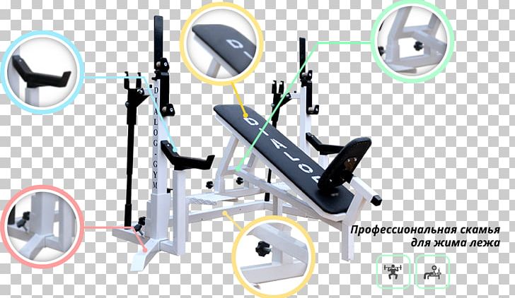 Elliptical Trainers Fitness Centre Exercise Machine Dialog Gym Sport PNG, Clipart, Angle, Bench Press, Dialog Boxdialog, Elliptical Trainer, Elliptical Trainers Free PNG Download