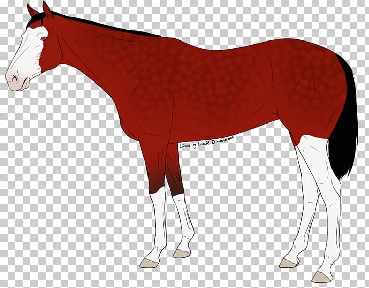 Mustang Stallion Foal Colt Mare PNG, Clipart, Animal Figure, Bridle, Colt, Davy Jones, Foal Free PNG Download