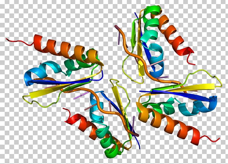 PCBP2 Protein Gene HNRPK PTBP1 PNG, Clipart, Area, Artwork, Chromosome, Compare, Dna Free PNG Download