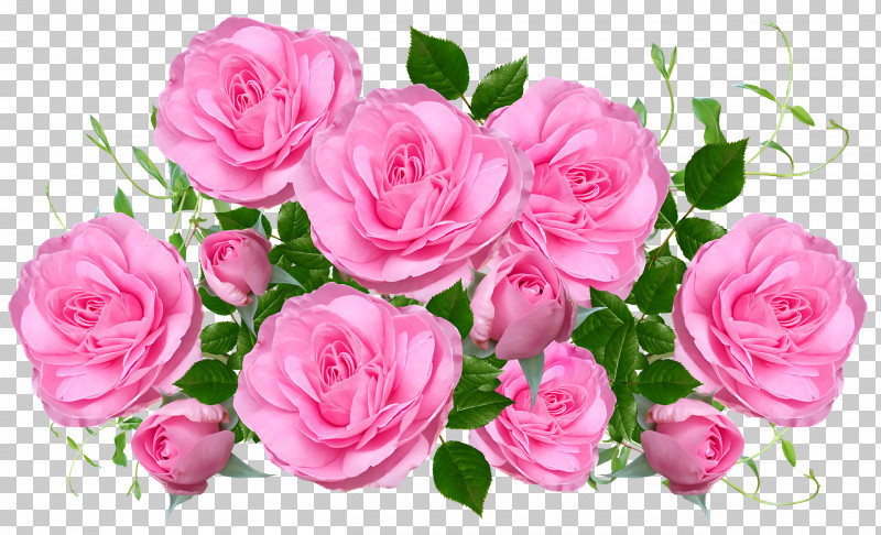 Garden Roses PNG, Clipart, Artificial Flower, Cabbage Rose, Color, Cut Flowers, Floribunda Free PNG Download