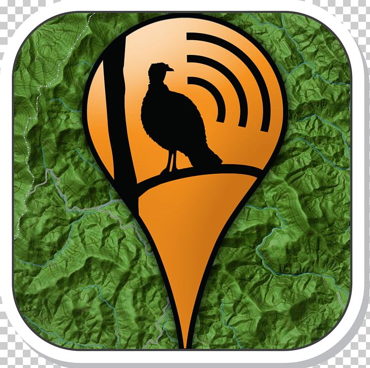 Beak Fauna Galliformes PNG, Clipart, Apk, Beak, Bird, Conjunction, Fauna Free PNG Download