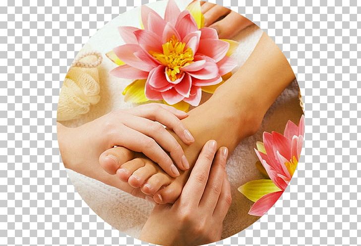 Pedicure Beauty Parlour Manicure Day Spa Nail Salon PNG, Clipart,  Free PNG Download