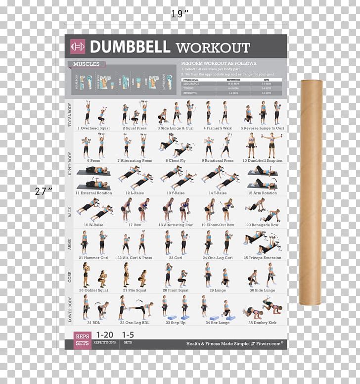 Weight Training Dumbbell Bodyweight Exercise Fitness Centre PNG, Clipart, Aerobic Exercise, Bodyweight Exercise, Brand, Dumbbell, Exercise Free PNG Download