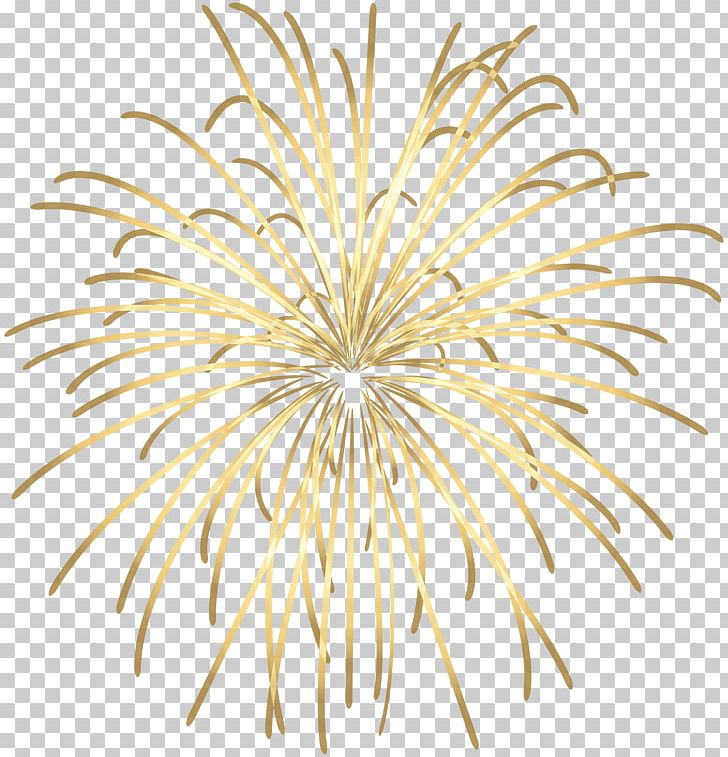 Fireworks PNG, Clipart, Animation, Art, Art Museum, Clipart, Clip Art Free PNG Download