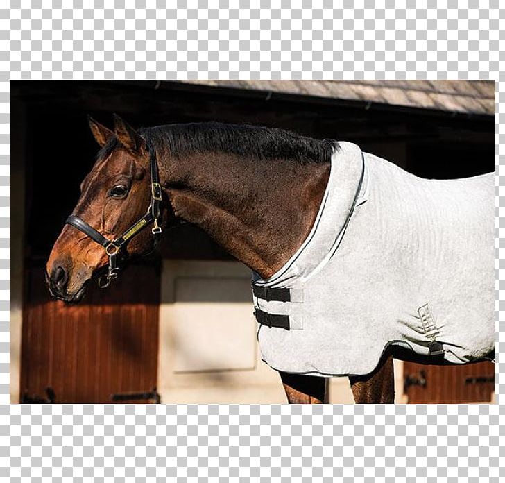 Horse Blanket Rambo Pony Carpet PNG, Clipart, Bathrobe, Bit, Bridle, Carpet, Equestrian Free PNG Download