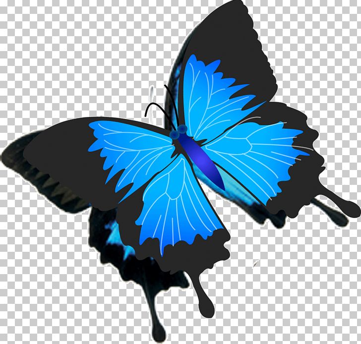 Itachi Uchiha Icon PNG, Clipart, Arthropod, Blue, Brush Footed Butterfly, Butterflies, Butterfly Free PNG Download