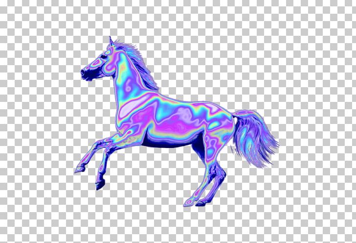 Mustang White Stallion PNG, Clipart, Animal, Animal Figure, Halter, Holographic, Horse Free PNG Download