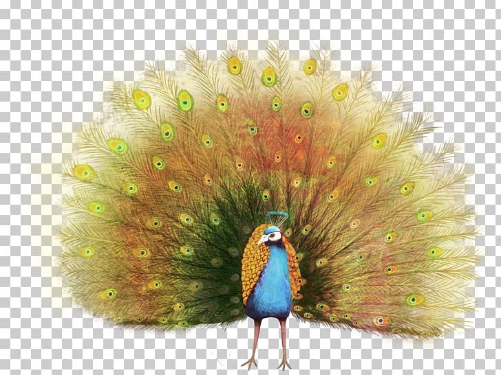 Peafowl Paper PNG, Clipart, Advertising, Animal, Animals, Beak, Car Stickers Free PNG Download