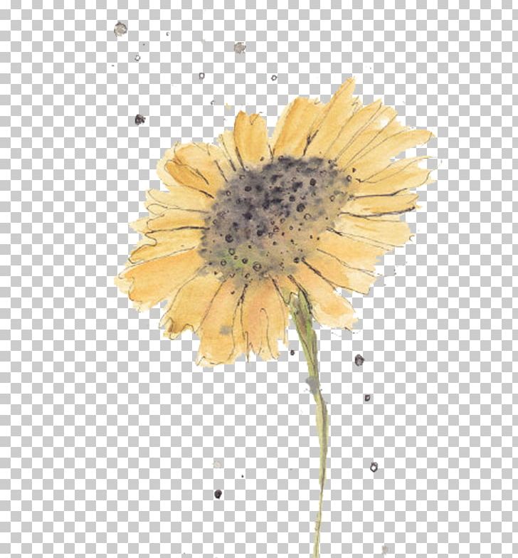 Watercolor: Flowers Watercolors For Beginners Watercolor Painting Tattoo PNG, Clipart, Art, Chrysanths, Color, Common Sunflower, Daisy Family Free PNG Download