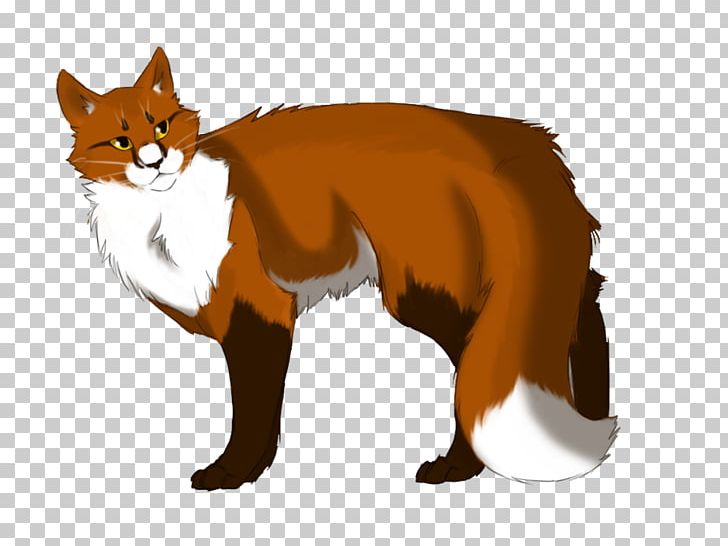 Whiskers Cat Red Fox Warriors PNG, Clipart, Animals, Carnivoran, Cat, Cat Like Mammal, Cloudstar Free PNG Download