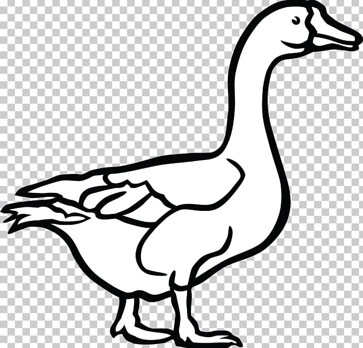 duck black and white clipart