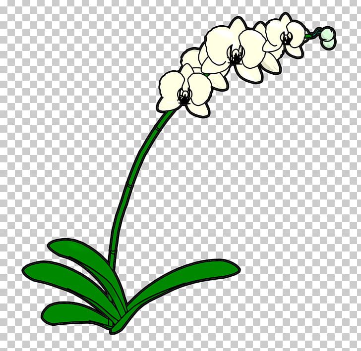 Floral Design Cut Flowers Plant Stem Leaf PNG, Clipart, Artwork, Black And White, Body Jewellery, Body Jewelry, Branch Free PNG Download