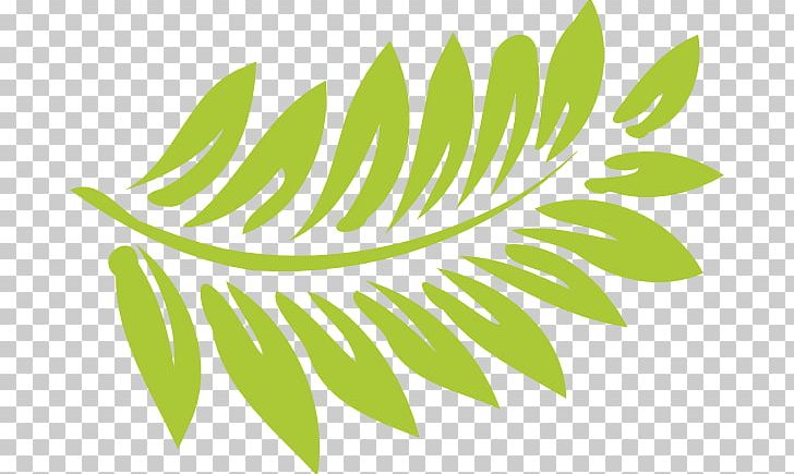Hawaiian Hibiscus Drawing PNG, Clipart, Blog, Branch, Drawing, Fern Cliparts, Flora Free PNG Download