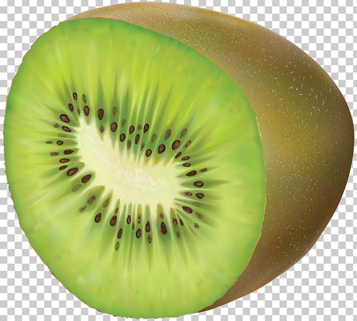 Kiwifruit PNG, Clipart, Clipart, Clip Art, Closeup, Food, Fruit Free PNG Download