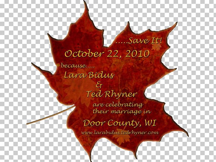 Autumn Leaf Color Maple Leaf PNG, Clipart, Autumn, Autumn Leaf Color, Birch, Equinox, Leaf Free PNG Download