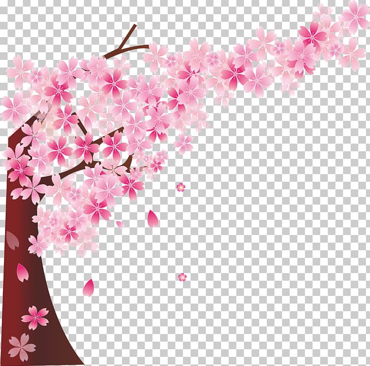 Cherry Blossom Cerasus PNG, Clipart, Beautiful, Blossom, Branch, Branches, Cerasus Free PNG Download