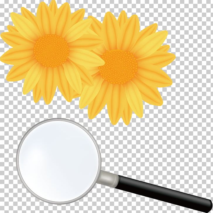 Flower Shutterstock PNG, Clipart, Broken Glass, Cartoon, Cha, Daisy Family, Flower Free PNG Download