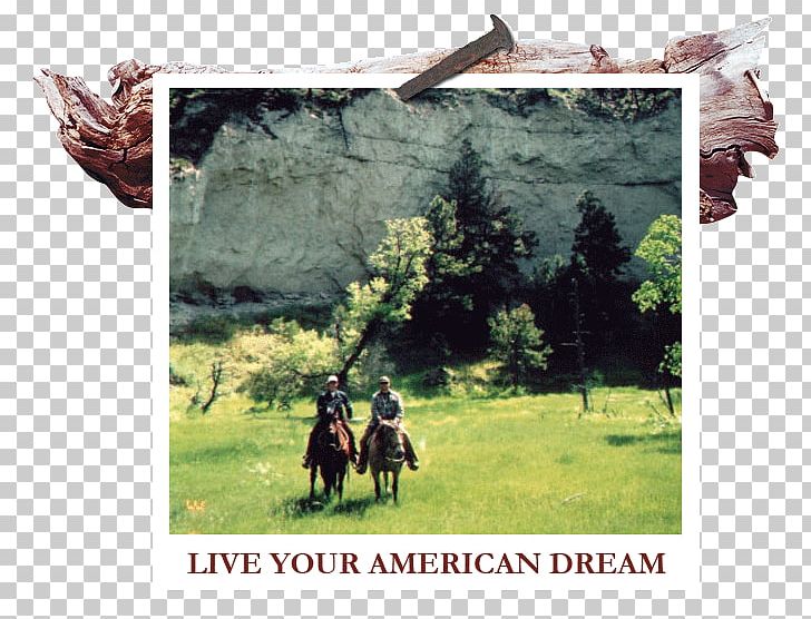 Horse White River Ranch Themar Western Saddle PNG, Clipart, American Dream, Animals, Bauernhof, Coach, Conflagration Free PNG Download