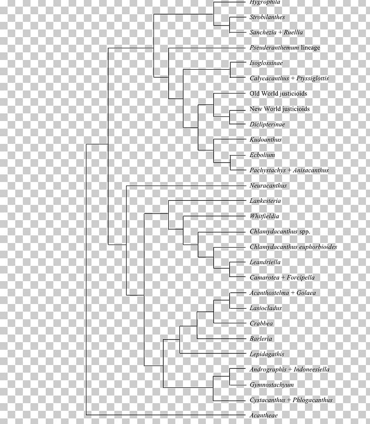 Phylogenetic Tree Phylogenetics Cladogram Fusarium Solani PNG, Clipart, Anatomy, Angle, Area, Asian Longhorned Beetle, Black And White Free PNG Download