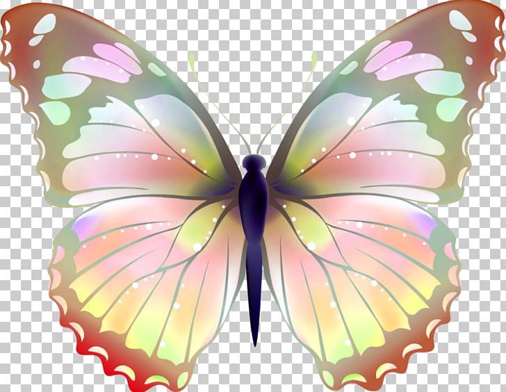 Butterfly Greta Oto Desktop PNG, Clipart, Art, Arthropod, Brush Footed Butterfly, Butterflies And Moths, Butterfly Free PNG Download
