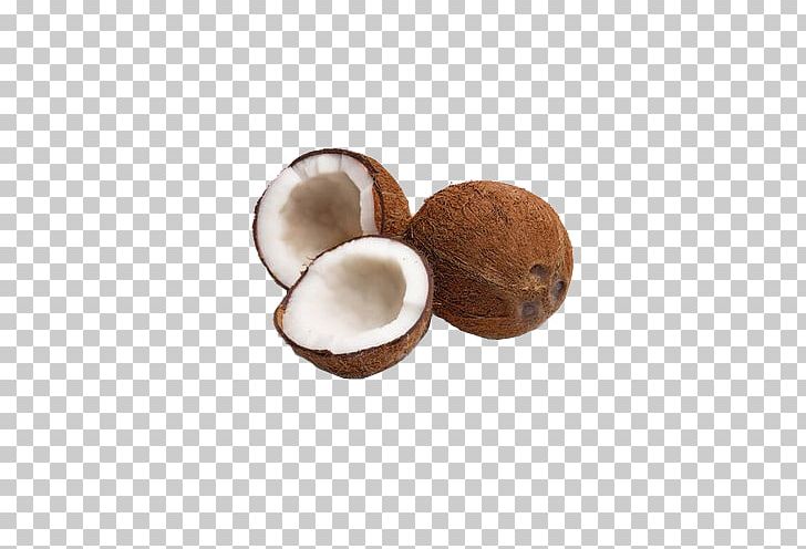 Coconut Cake Coconut Milk Coconut Water Organic Food PNG, Clipart, Auglis, Coconut, Coconut Cake, Coconut Leaf, Coconut Leaves Free PNG Download