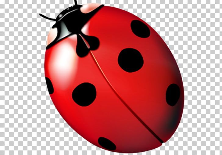 Ladybird Beetle PNG, Clipart, Art, Asian Lady Beetle, Beetle, Drawing, Graphic Design Free PNG Download