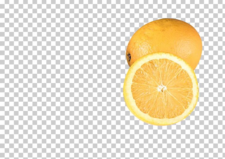 Lemon Orange Citric Acid PNG, Clipart, Acid, Citric Acid, Citrus, Food, Food Logo Free PNG Download