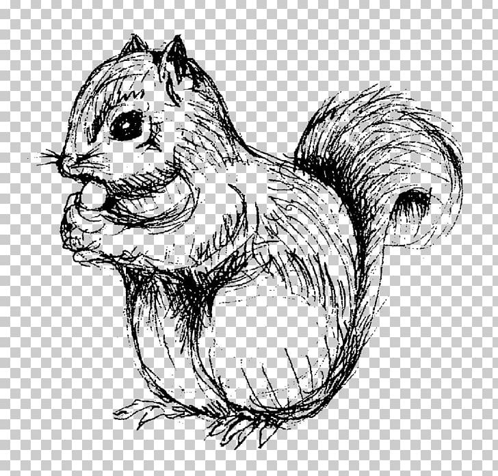 Squirrel Chipmunk Drawing Line Art Sketch PNG, Clipart, Animals, Art, Beaver, Black And White, Black Squirrel Free PNG Download