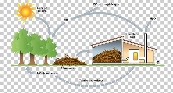 Biomass Energy Firewood Coal PNG, Clipart, Area, Bioenergy, Biofuel, Biomass, Biomass Energy Free PNG Download