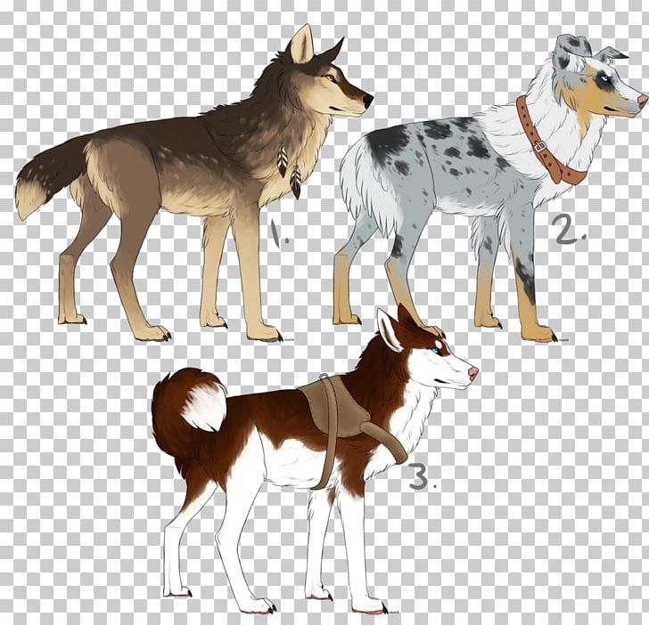 Jackal Coyote Pembroke Welsh Corgi Puppy Red Wolf PNG, Clipart, Animal, Animals, Bordercollie, Carnivoran, Coyote Free PNG Download