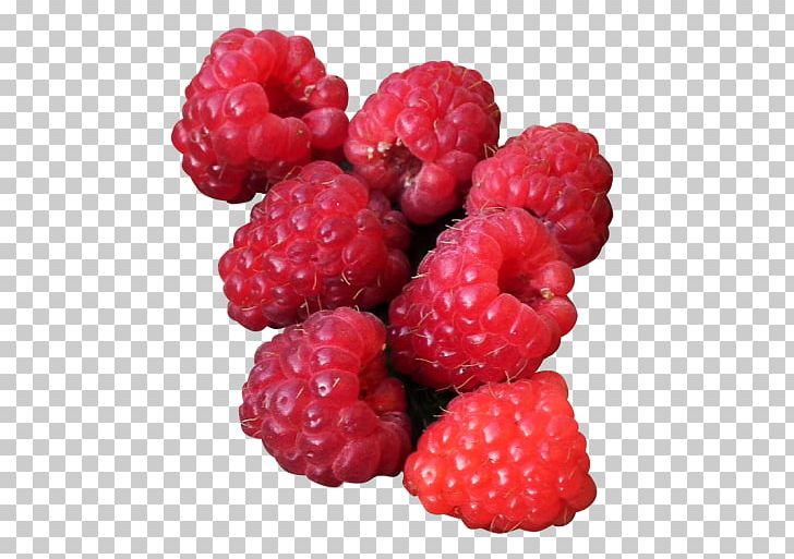 Raspberry Boysenberry Loganberry Tayberry Portable Network Graphics PNG, Clipart, 500 X, Berry, Blackberry, Boysenberry, Com Free PNG Download
