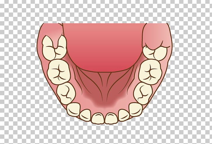 Tooth Molar 歯科 PNG, Clipart, Art, Art Book, Character, Dentistry, Jaw Free PNG Download