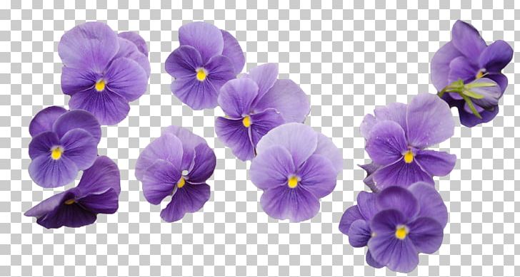 Flower Bouquet Purple Innovation Cut Flowers PNG, Clipart, Blue, Cluster, Cut Flowers, Floral Design, Flower Free PNG Download
