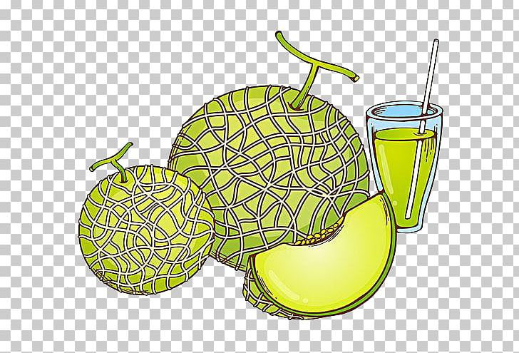 Hami Melon Cantaloupe PNG, Clipart, Cartoon, Coconut Water, Decoration, Diagram, Download Free PNG Download
