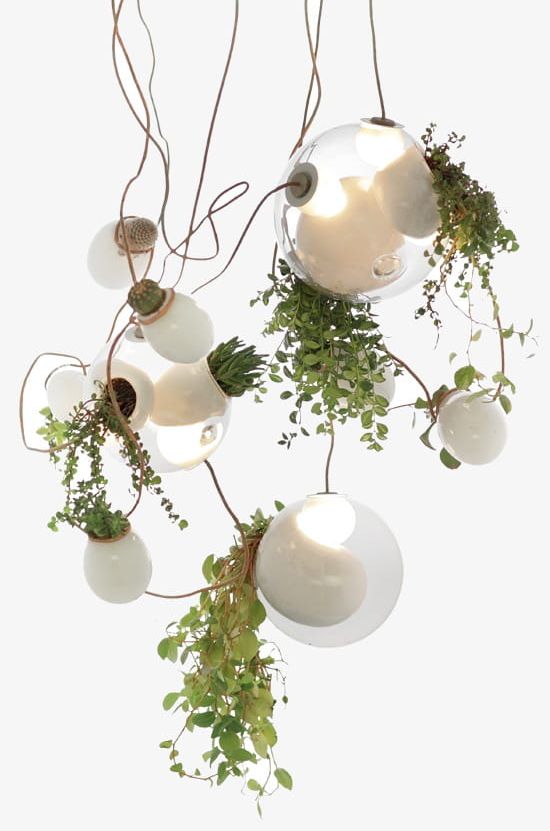 Hanging Green Plants PNG, Clipart, Bulb, Decorations, Green Clipart, Hanging, Hanging Clipart Free PNG Download