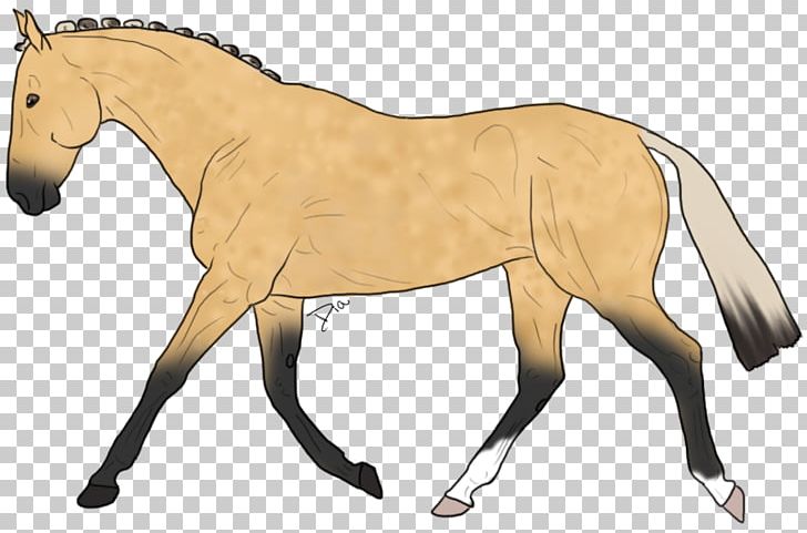 Mule Foal Stallion Mare Colt PNG, Clipart, Animal Figure, Bridle, Colt, English Riding, Equestrian Free PNG Download
