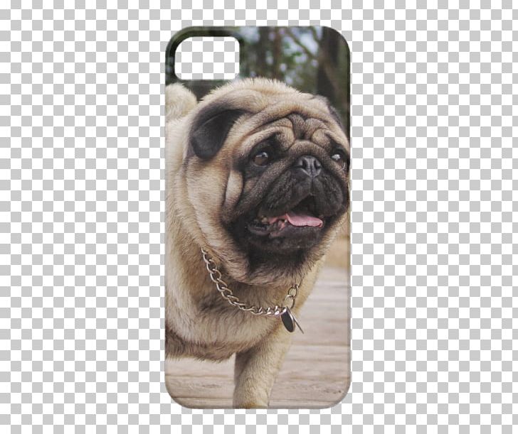 Pug IPhone 5s French Bulldog IPhone 5c PNG, Clipart, Animals, Carnivoran, Case, Dog, Dog Breed Free PNG Download