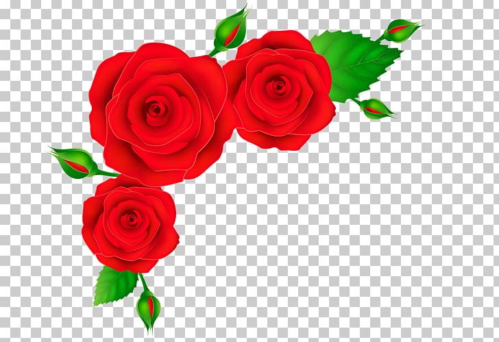 Rose Red PNG, Clipart, Artificial Flower, Border, Clip Art, Cut Flowers, Digital Image Free PNG Download