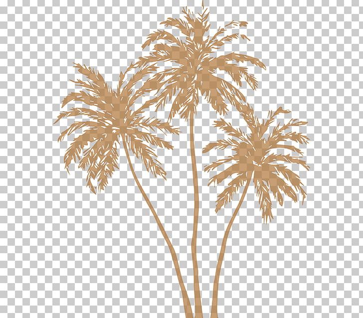 Arecaceae Silhouette PNG, Clipart, Animals, Arecaceae, Arecales, Areca Palm, Branch Free PNG Download