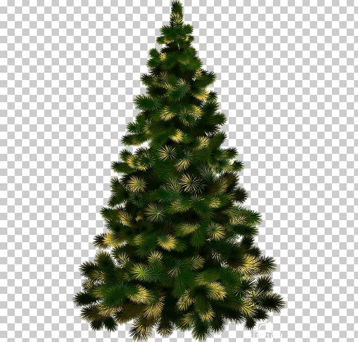 Christmas Tree Christmas Decoration PNG, Clipart, 25 December, Artificial Christmas Tree, Biome, Candle, Christmas Free PNG Download