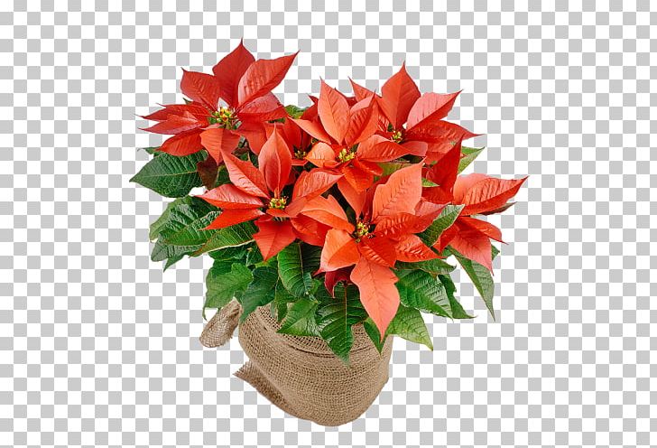 Floral Design Artificial Flower Cut Flowers Flowerpot PNG, Clipart,  Free PNG Download