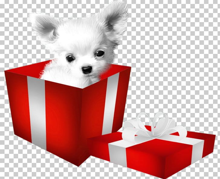 Pomeranian Puppy Dog Breed PNG, Clipart, Animals, Breed Group Dog, Cari, Carnivoran, Companion Dog Free PNG Download